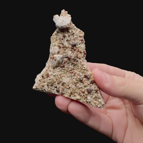 Specimen rotation video 150