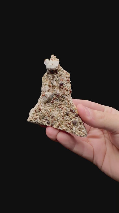 Specimen rotation video 150