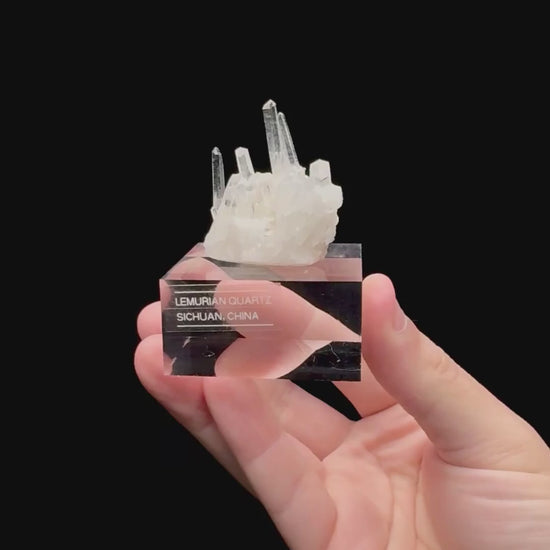 Specimen rotation video 160