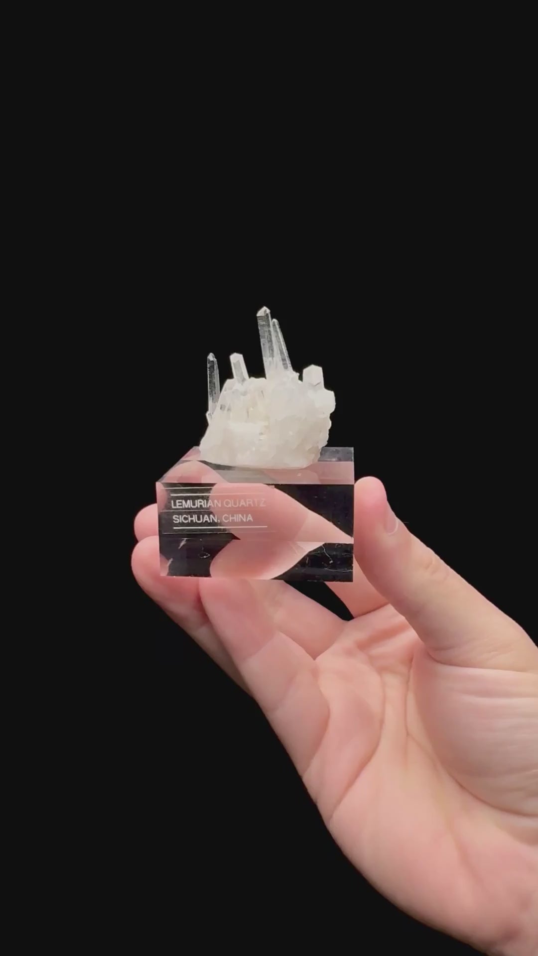 Specimen rotation video 160