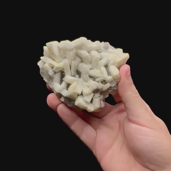 Specimen rotation video 0249