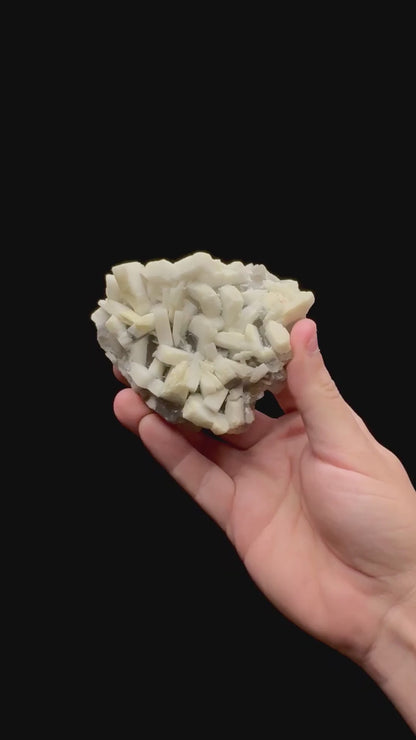 Specimen rotation video 0249
