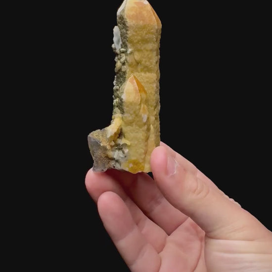 Specimen rotation video 0268