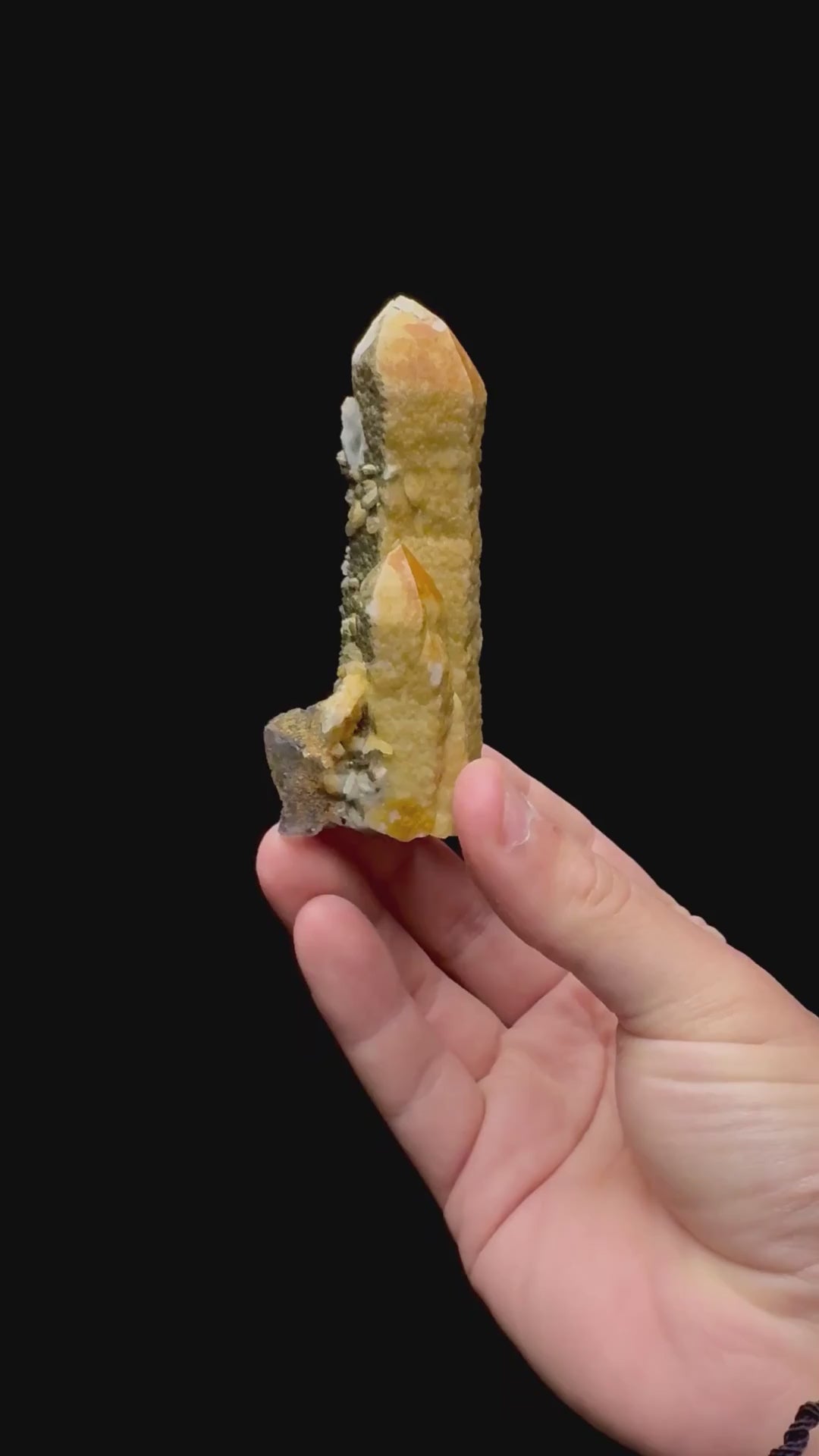 Specimen rotation video 0268