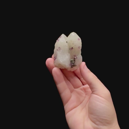 Specimen rotation video 0429