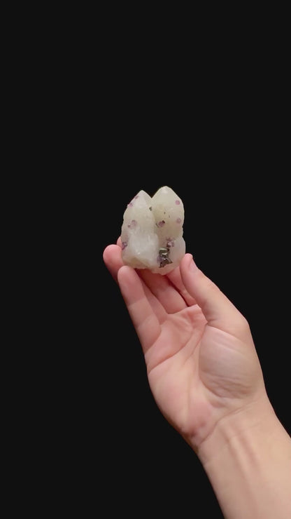 Specimen rotation video 0429