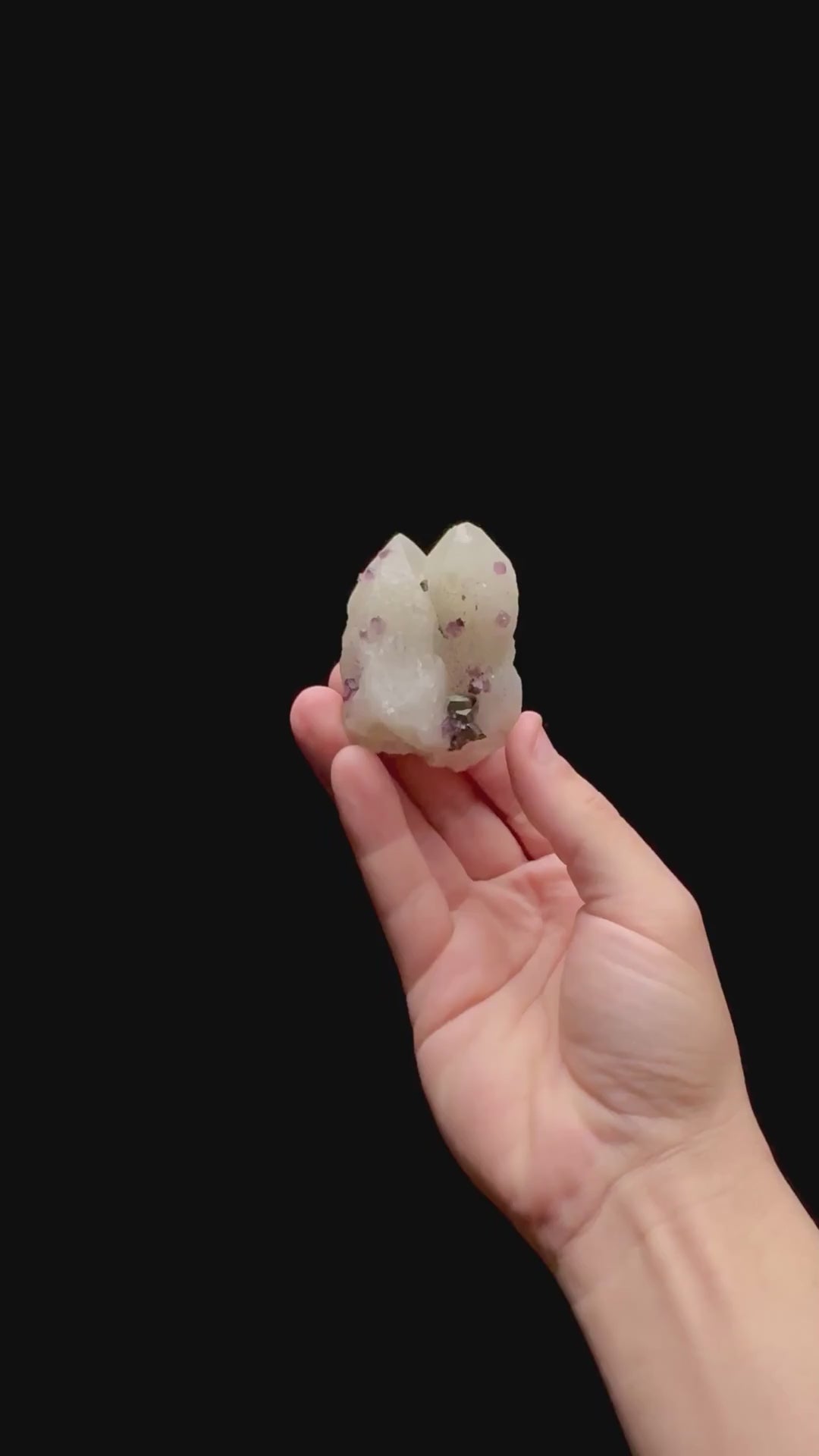 Specimen rotation video 0429