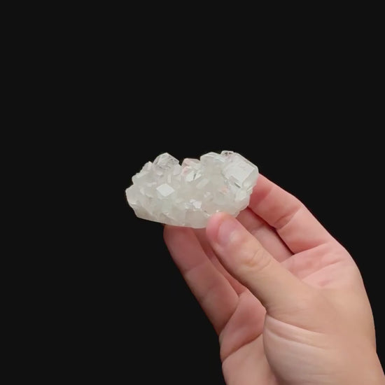 Specimen rotation video 0421
