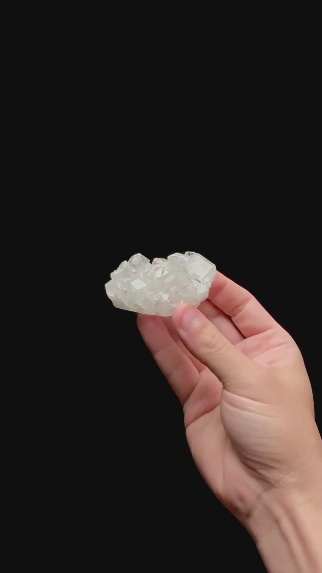 Specimen rotation video 0421