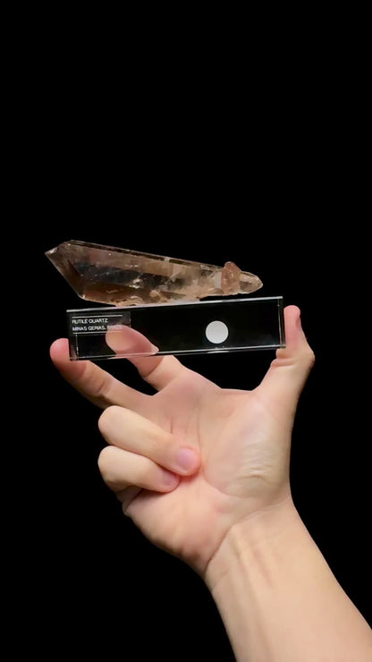 Specimen rotation video 0567