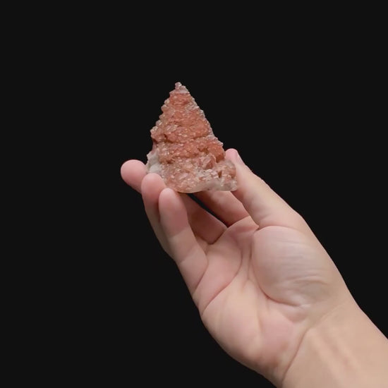Specimen rotation video 0392