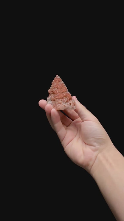 Specimen rotation video 0392