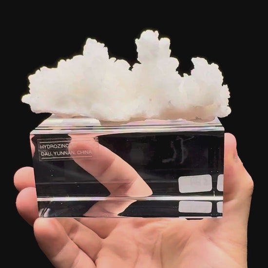 Specimen rotation video 605
