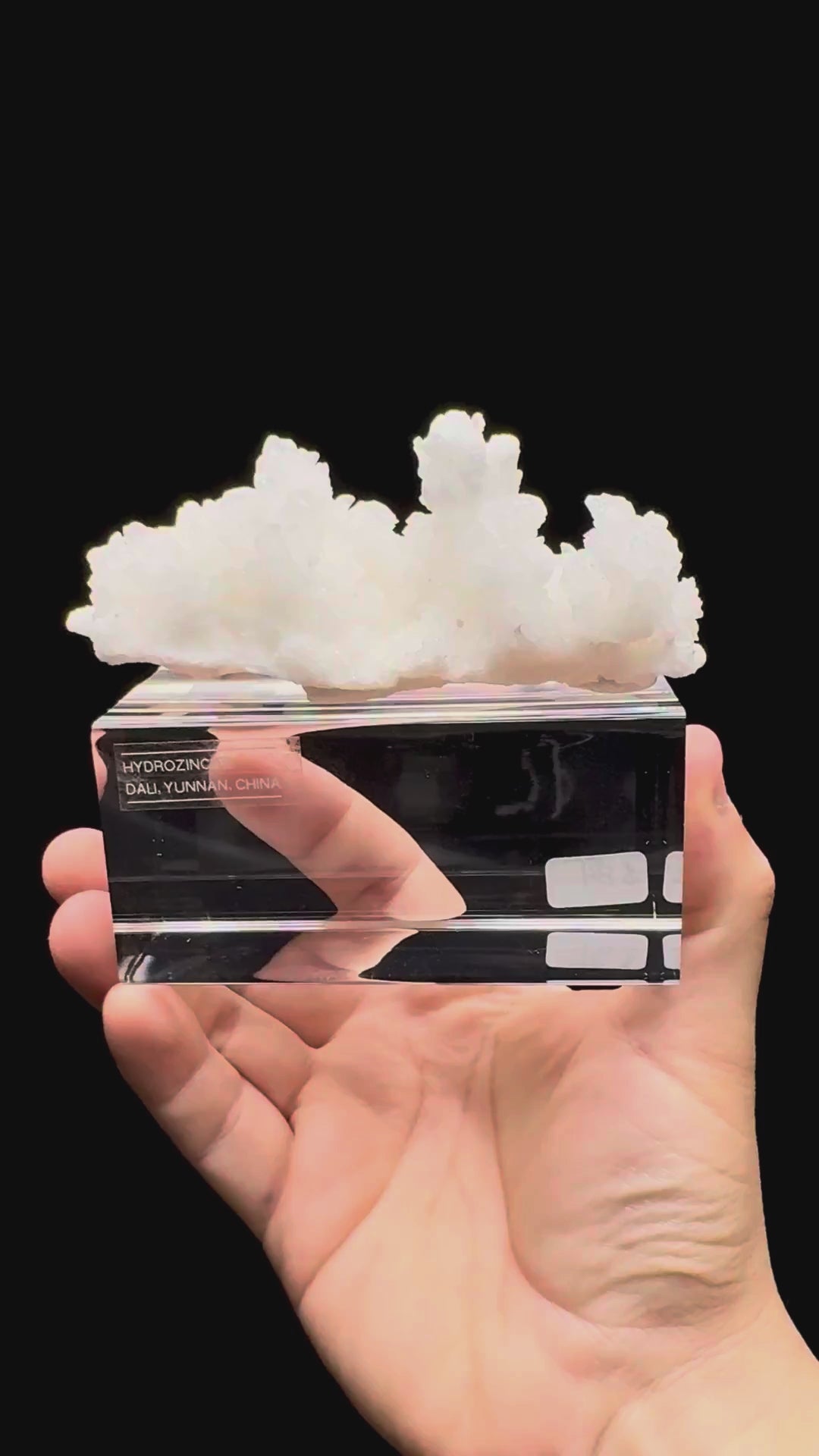 Specimen rotation video 605