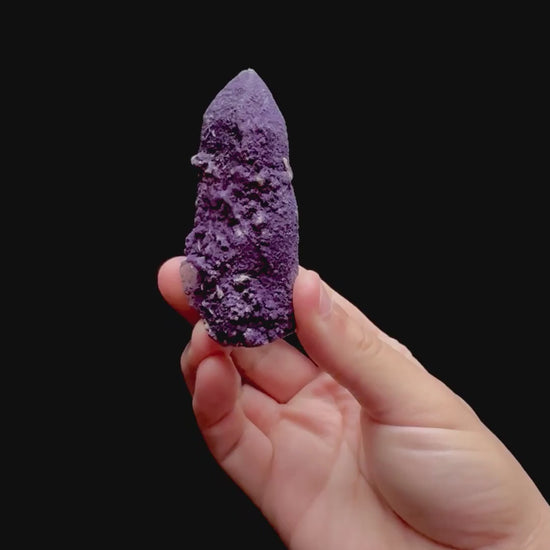 Specimen rotation video 0270
