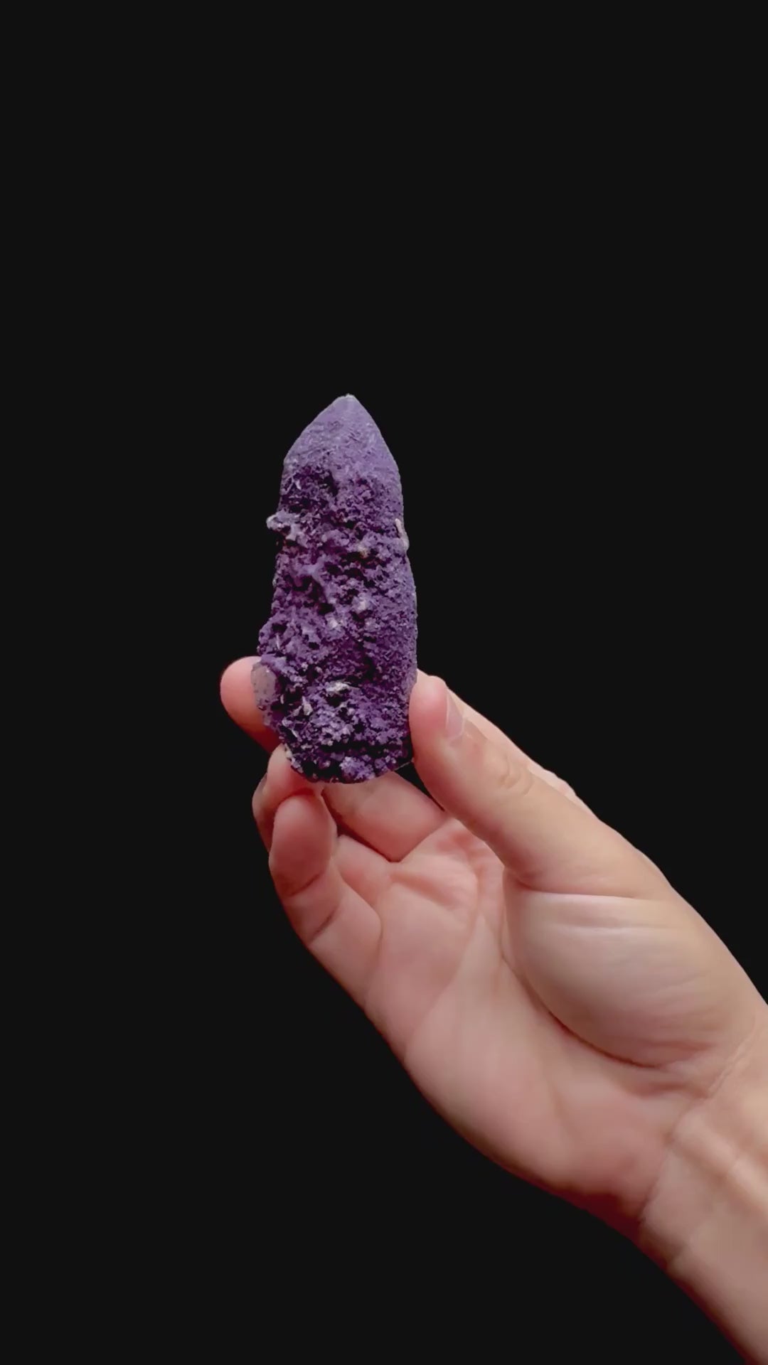 Specimen rotation video 0270
