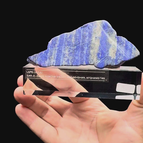 Specimen rotation video 583