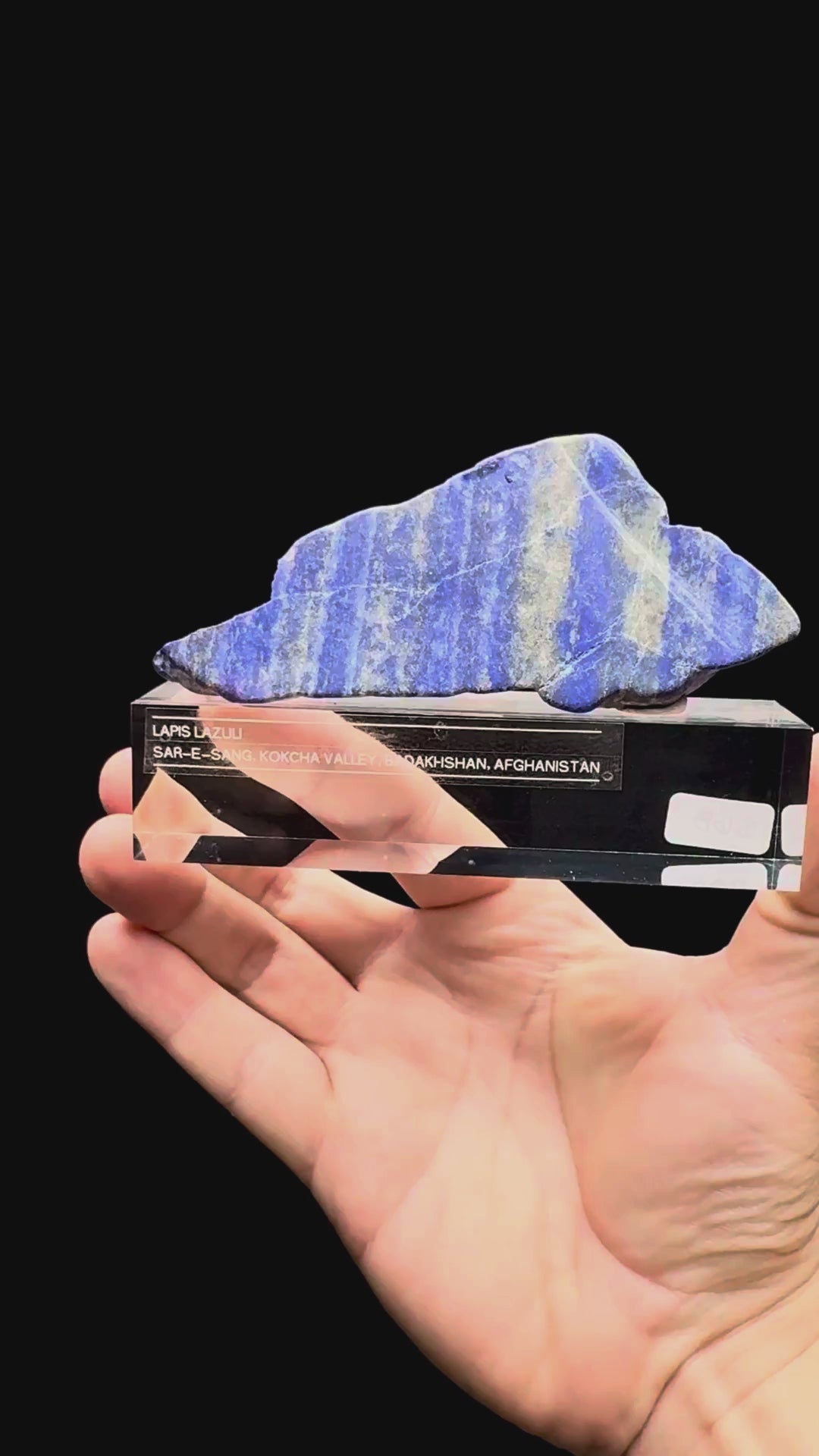 Specimen rotation video 583