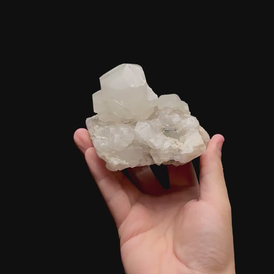 Specimen rotation video 0431