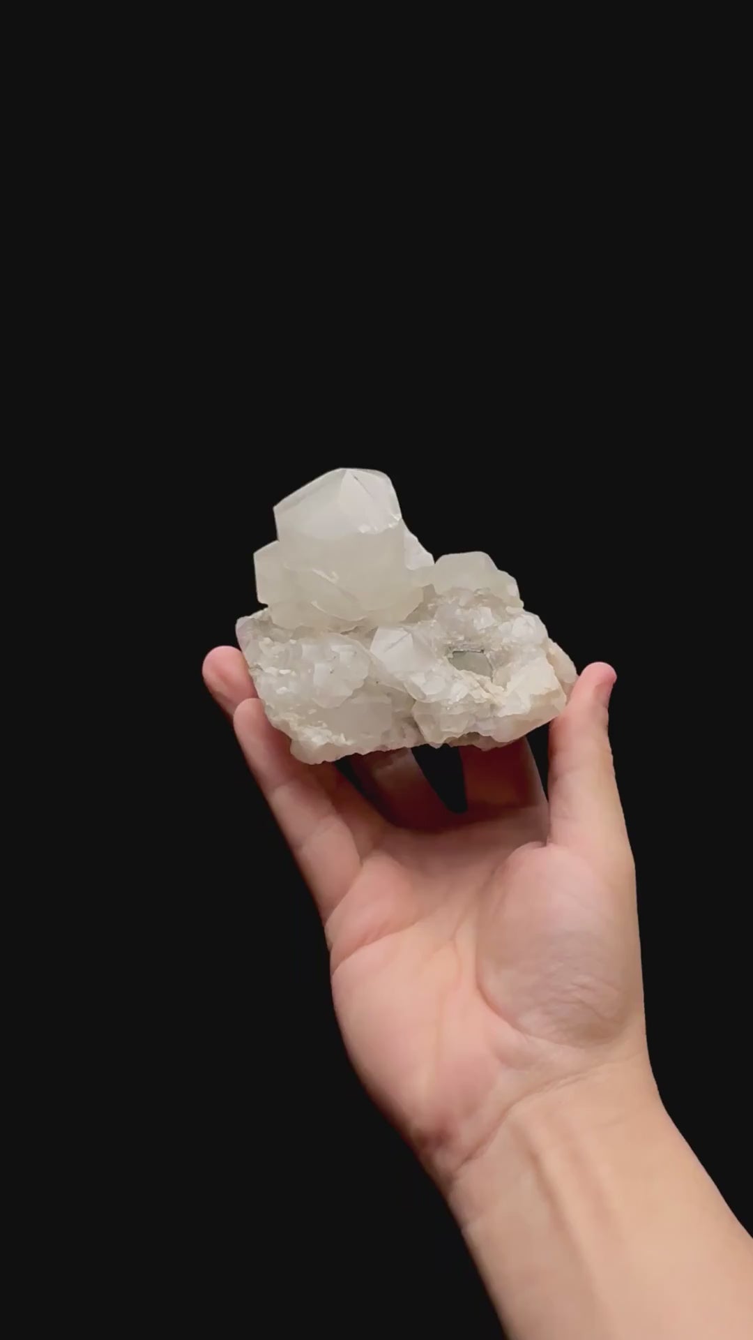 Specimen rotation video 0431