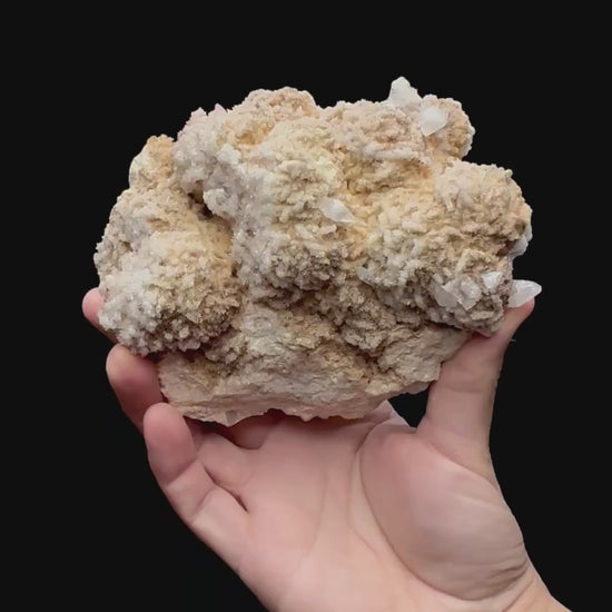 Specimen rotation video 231