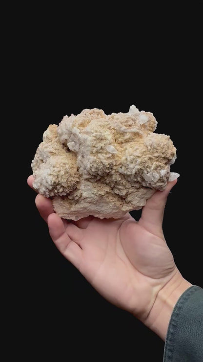 Specimen rotation video 231