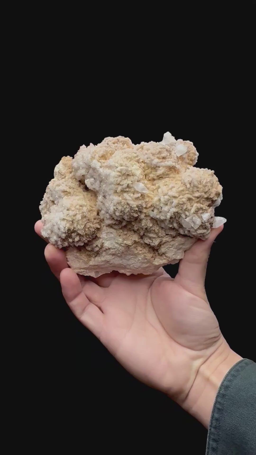 Specimen rotation video 231