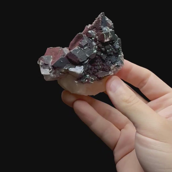 Specimen rotation video 0706