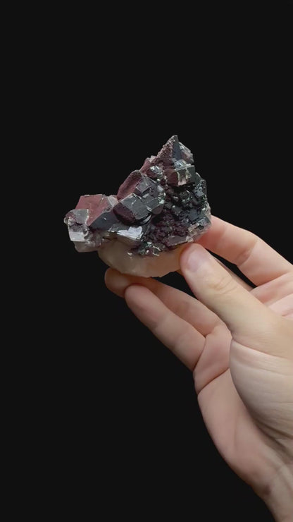 Specimen rotation video 0706