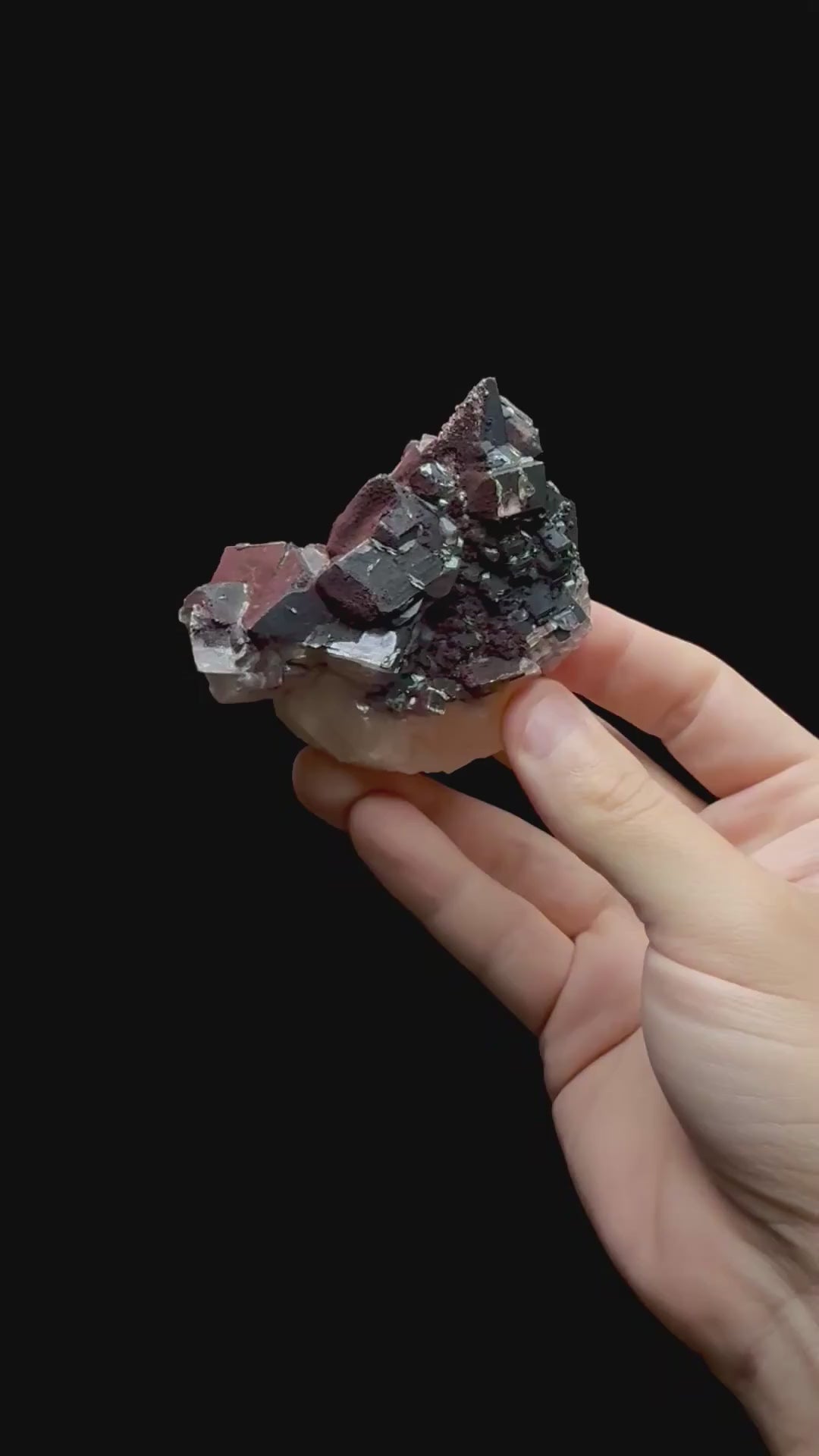 Specimen rotation video 0706