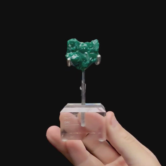 Specimen rotation video 0718