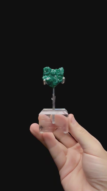 Specimen rotation video 0718