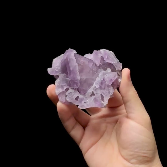Specimen rotation video 0608