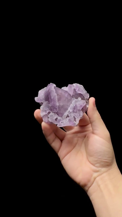Specimen rotation video 0608