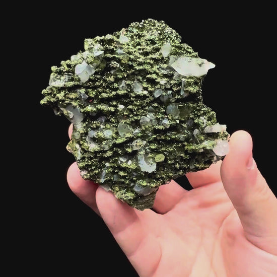 Specimen rotation video 006