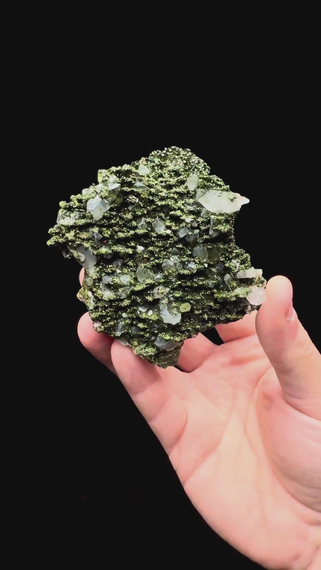 Specimen rotation video 006