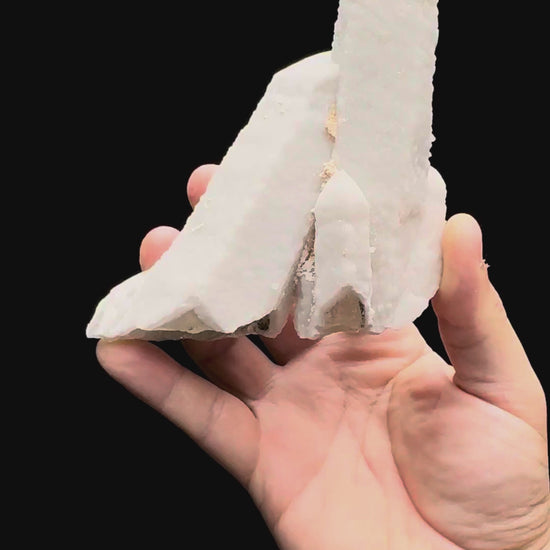 Specimen rotation video 524