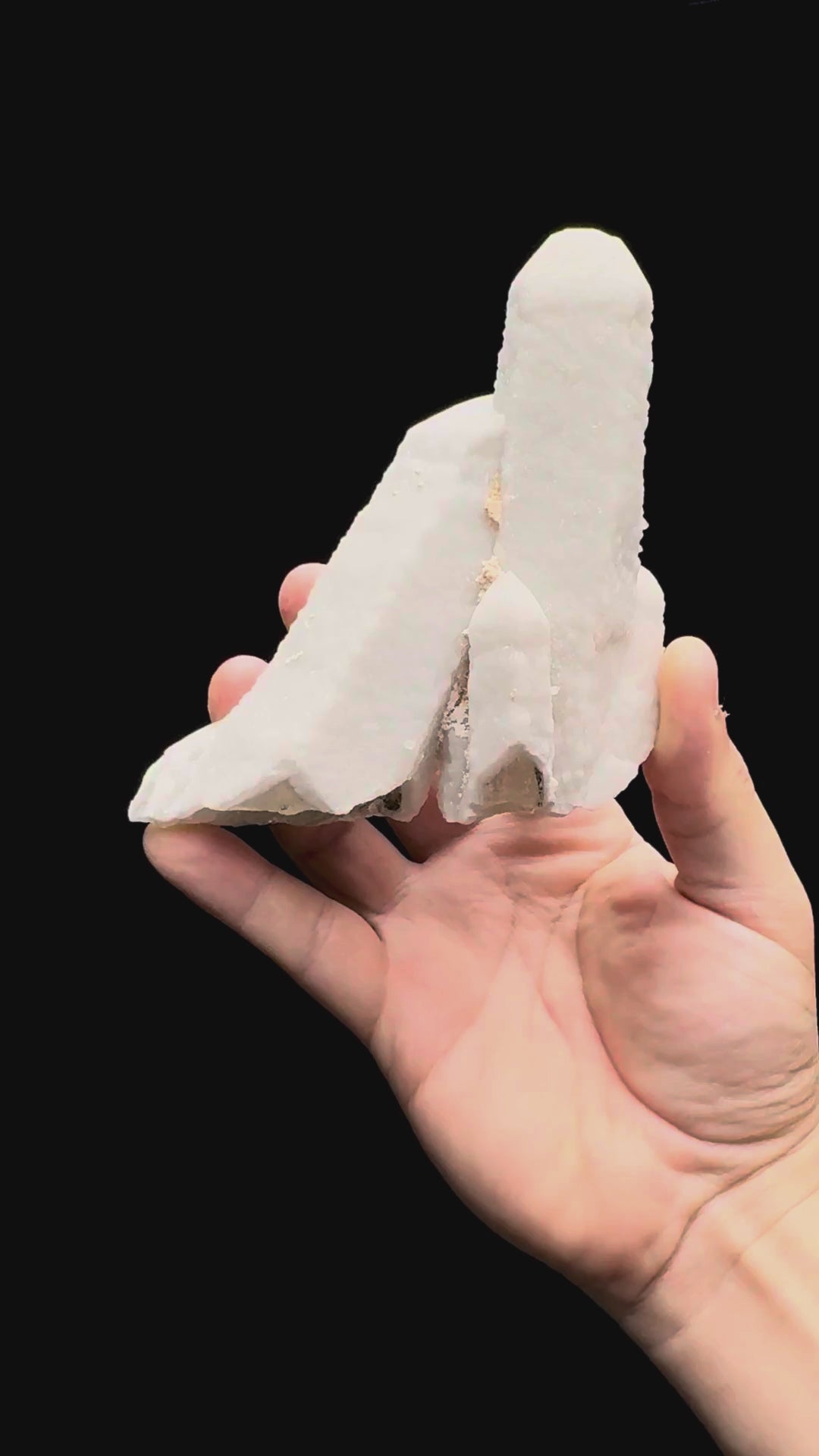Specimen rotation video 524