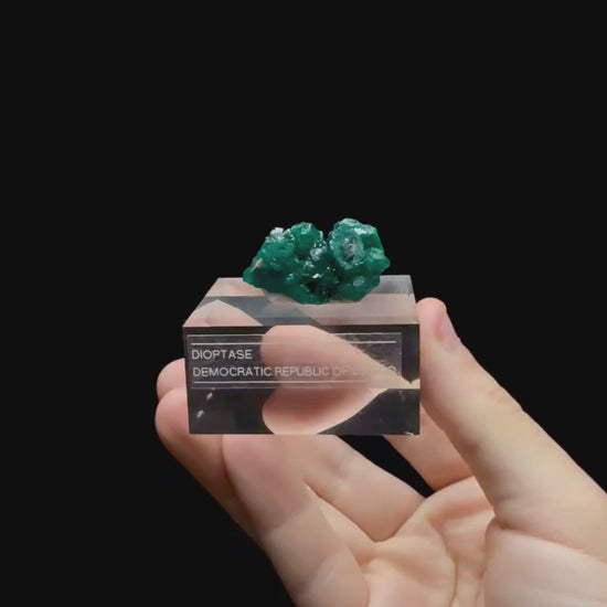 Specimen rotation video 0719