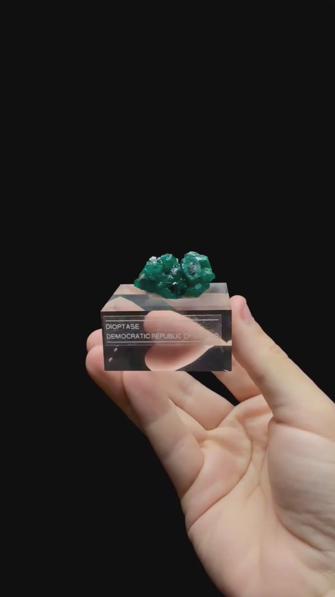 Specimen rotation video 0719