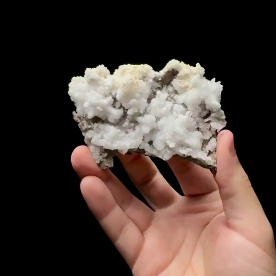 Specimen rotation video 0619