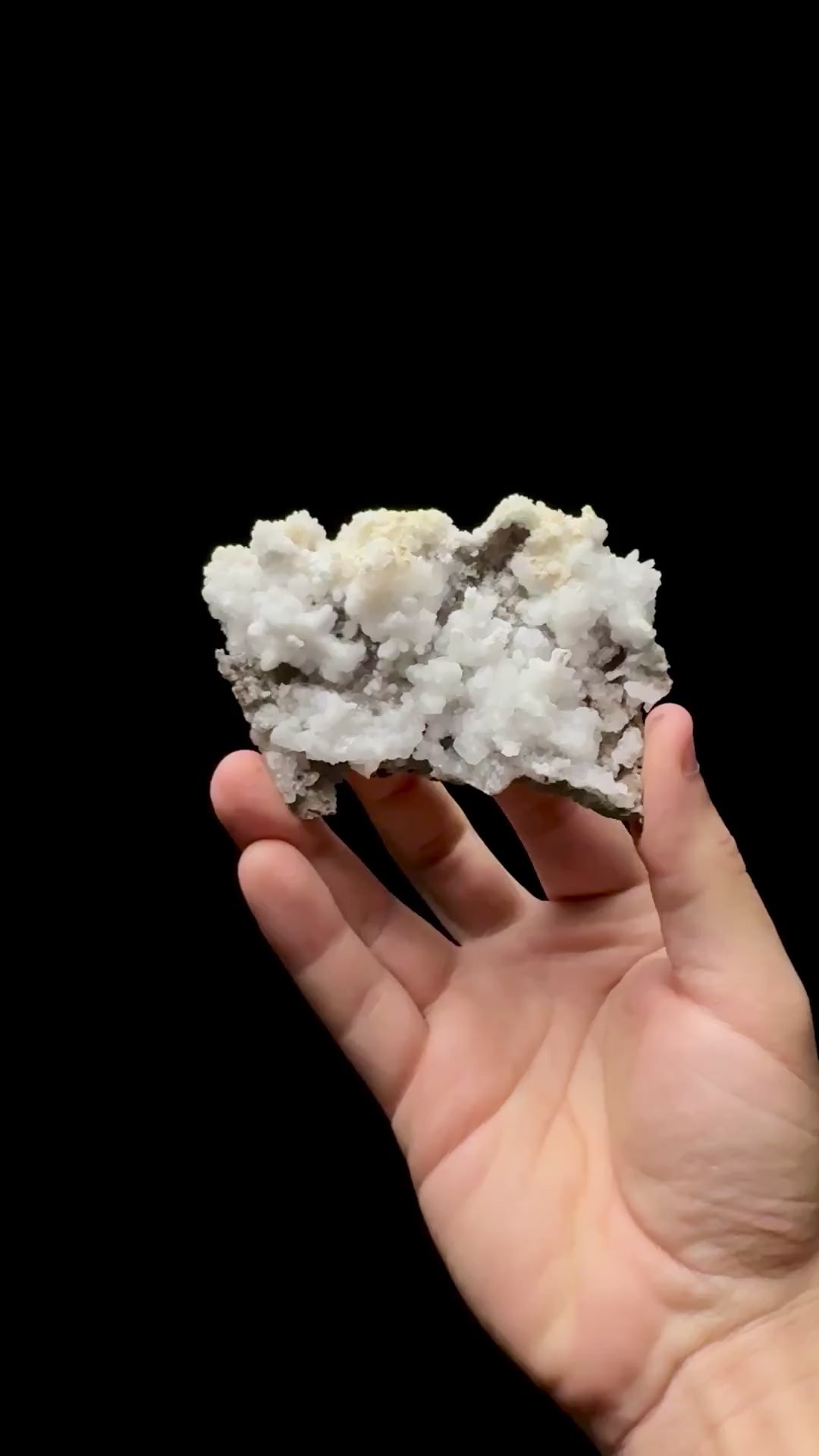 Specimen rotation video 0619