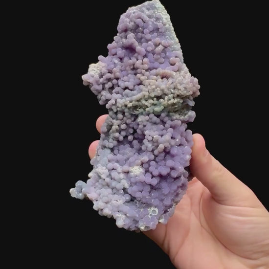 Specimen rotation video 121