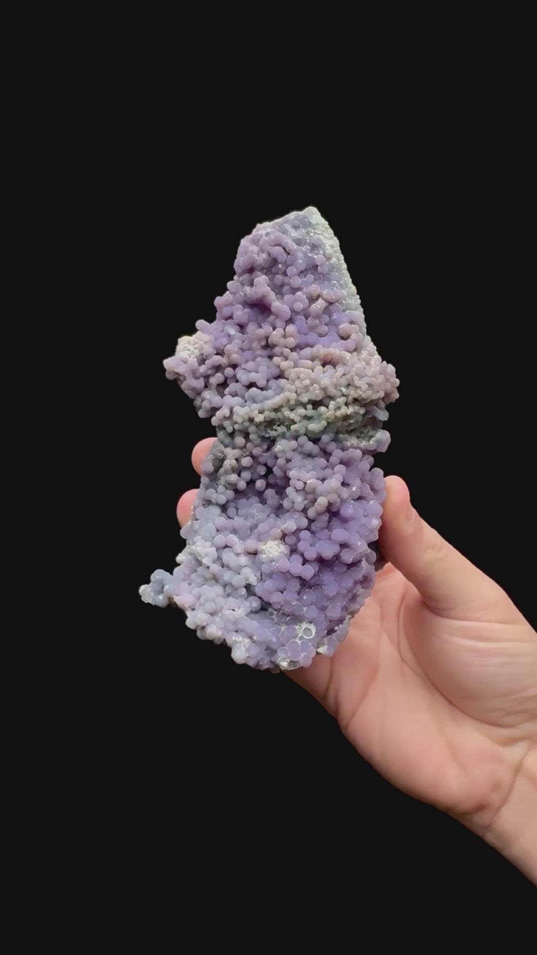 Specimen rotation video 121