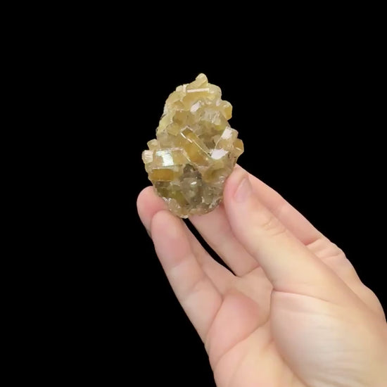 Specimen rotation video 0684