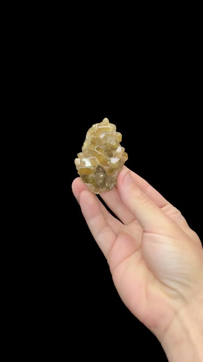 Specimen rotation video 0684