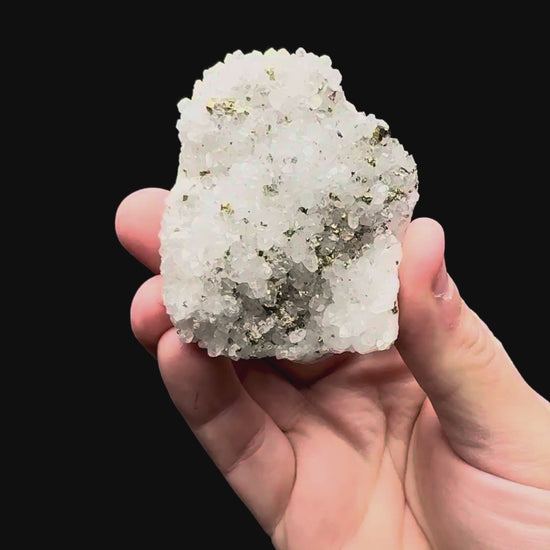 Specimen rotation video 021