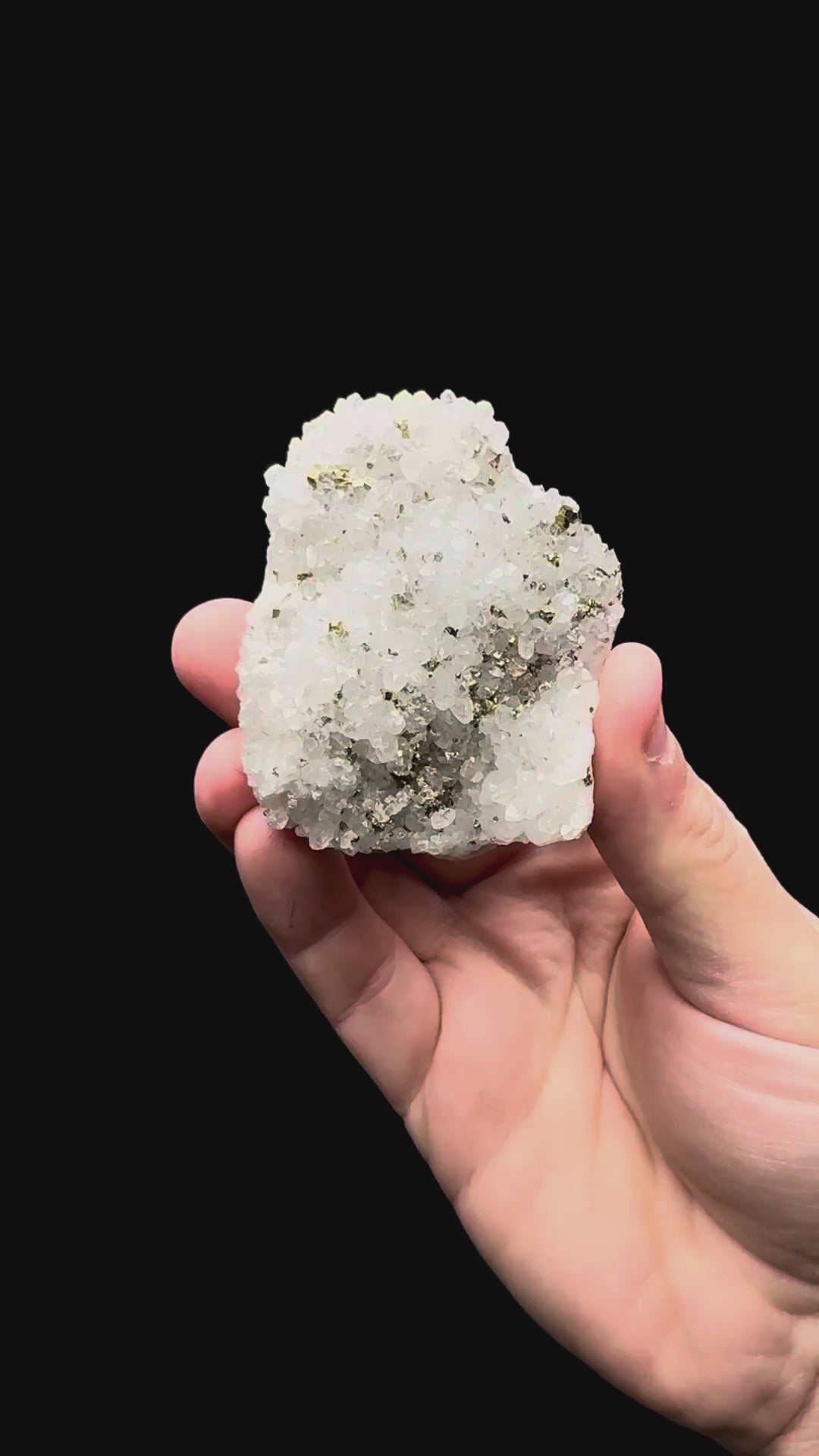 Specimen rotation video 021