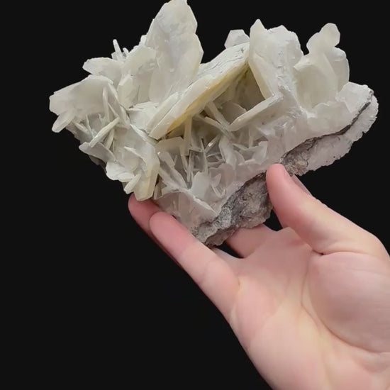 Specimen rotation video 234