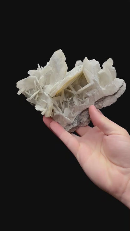 Specimen rotation video 234